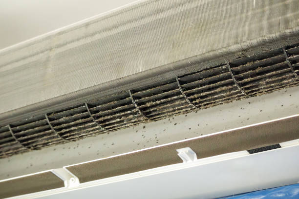 Best Air Duct Cleaning Cost  in Ashley, OH